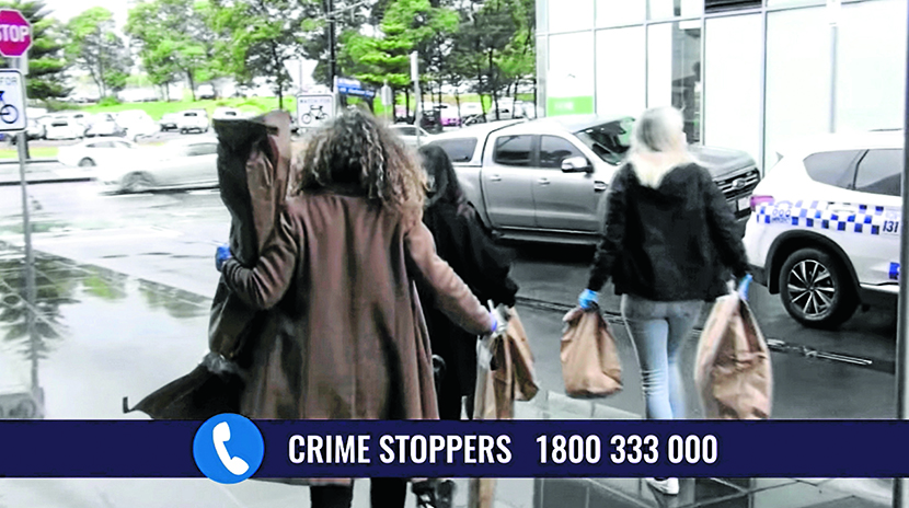 Guns seized following Docklands firearms incident