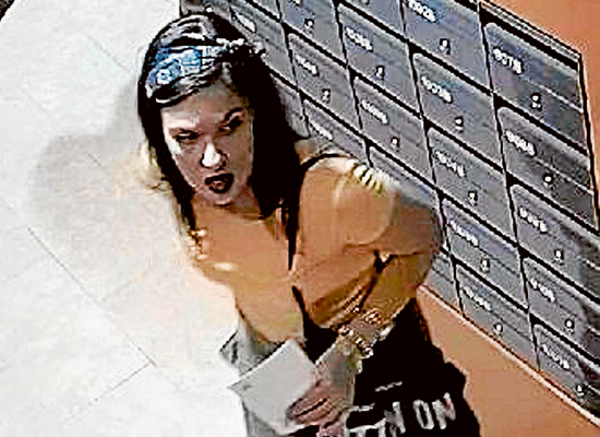 Police seek mail thieves