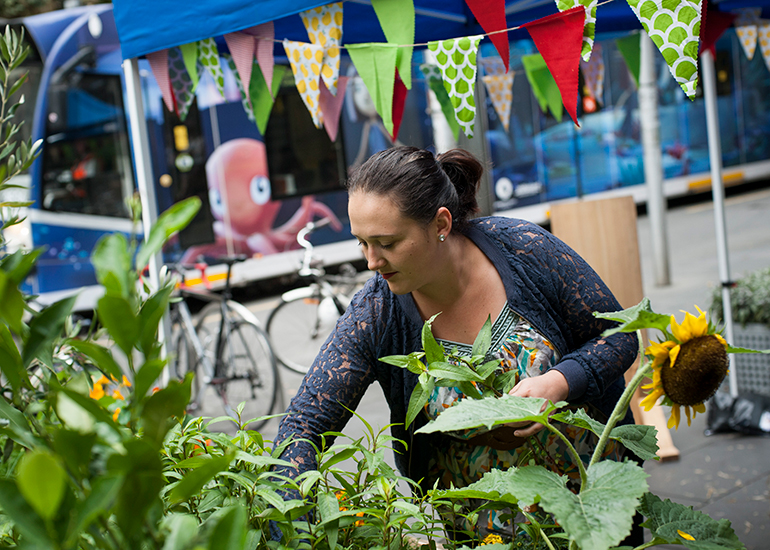 Learn to be sustainable
