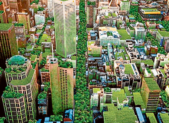 Council declares climate emergency