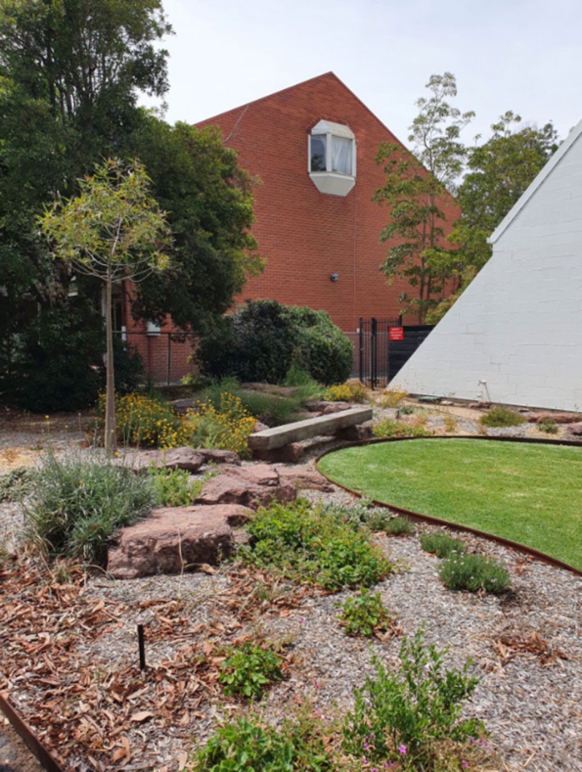 Urban forests bring residents pleasure