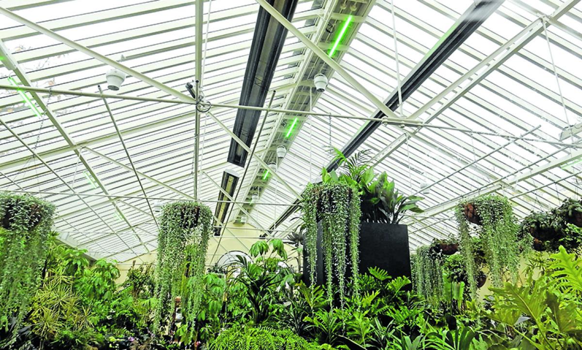 Fitzroy Gardens Conservatory is finally open! 