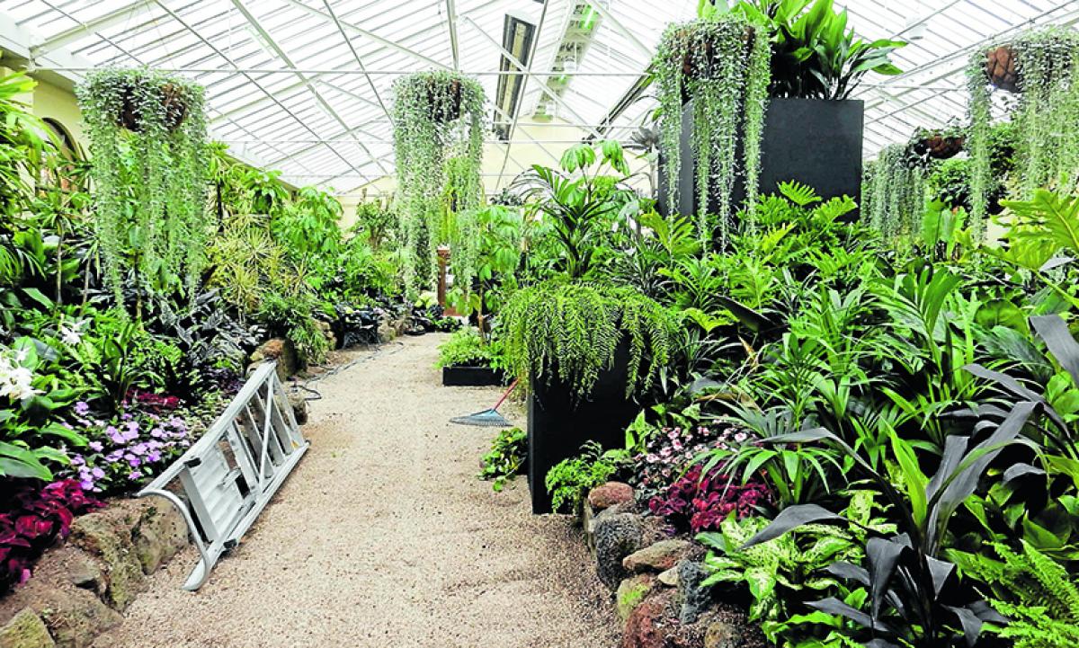 Fitzroy Gardens Conservatory is finally open! 