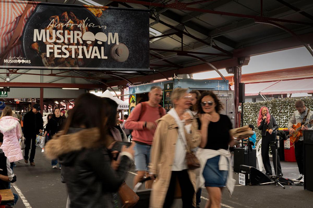 First-ever Mushroom Festival a success