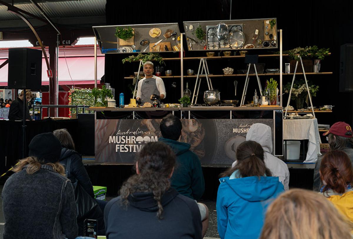 First-ever Mushroom Festival a success