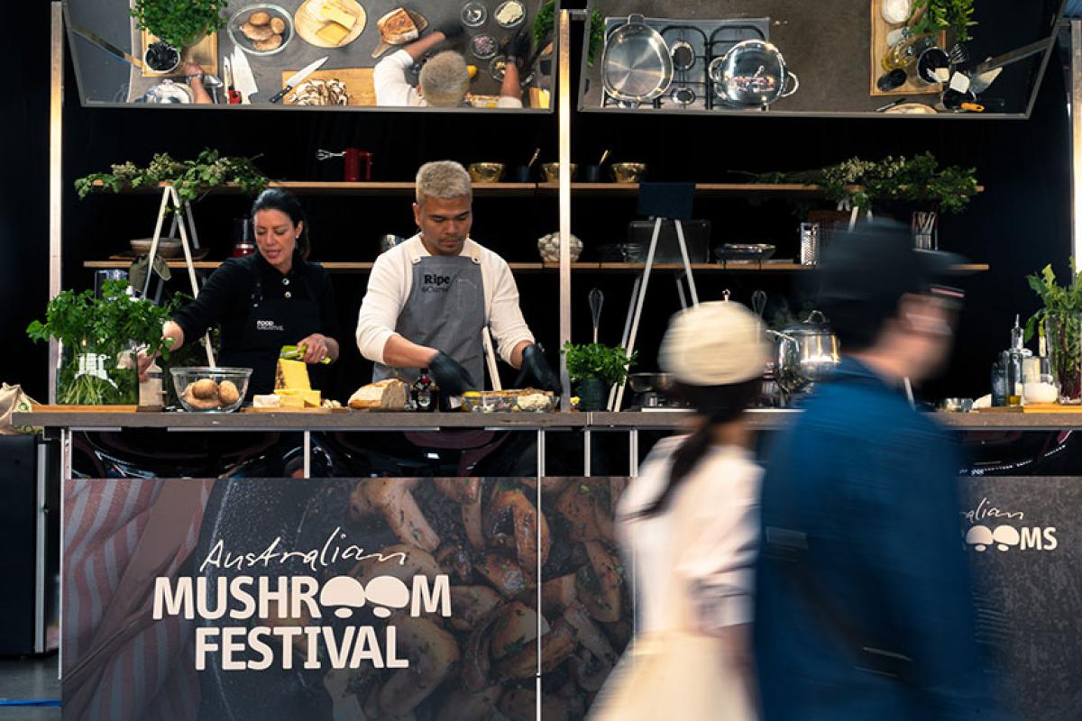First-ever Mushroom Festival a success