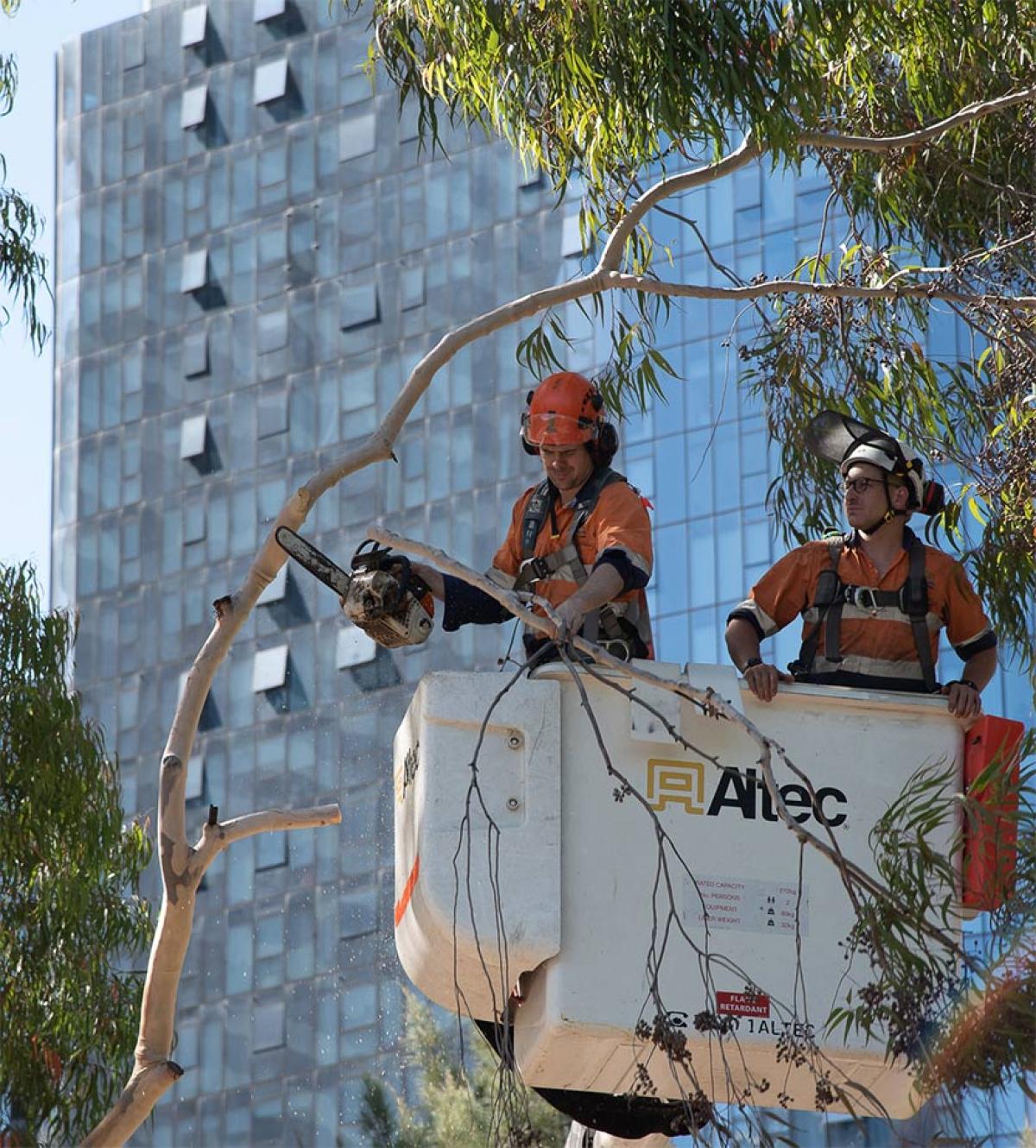 Misguided metropolis: Melbourne’s misstep with Queen Victoria Market