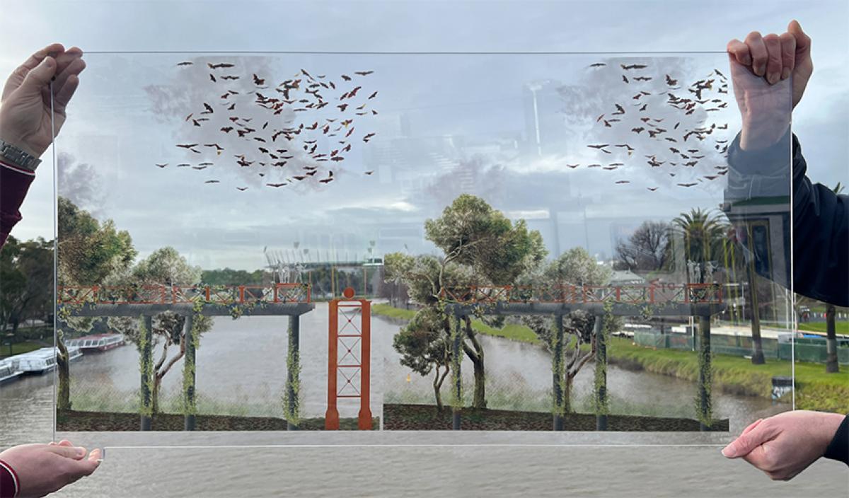 Reimagining Birrarung: new exhibition imagines river’s bold potential future