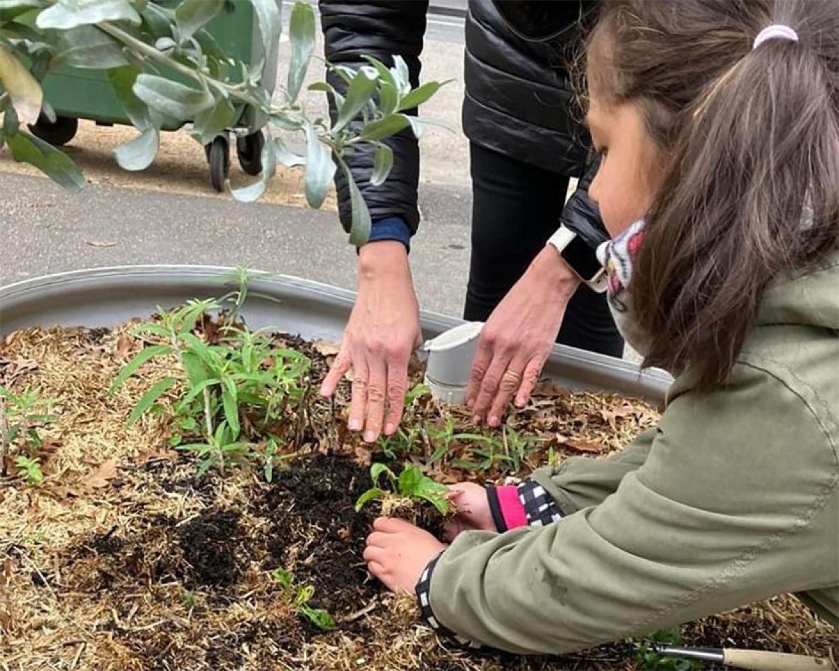Cold weather, warm hearts in our winter gardening efforts