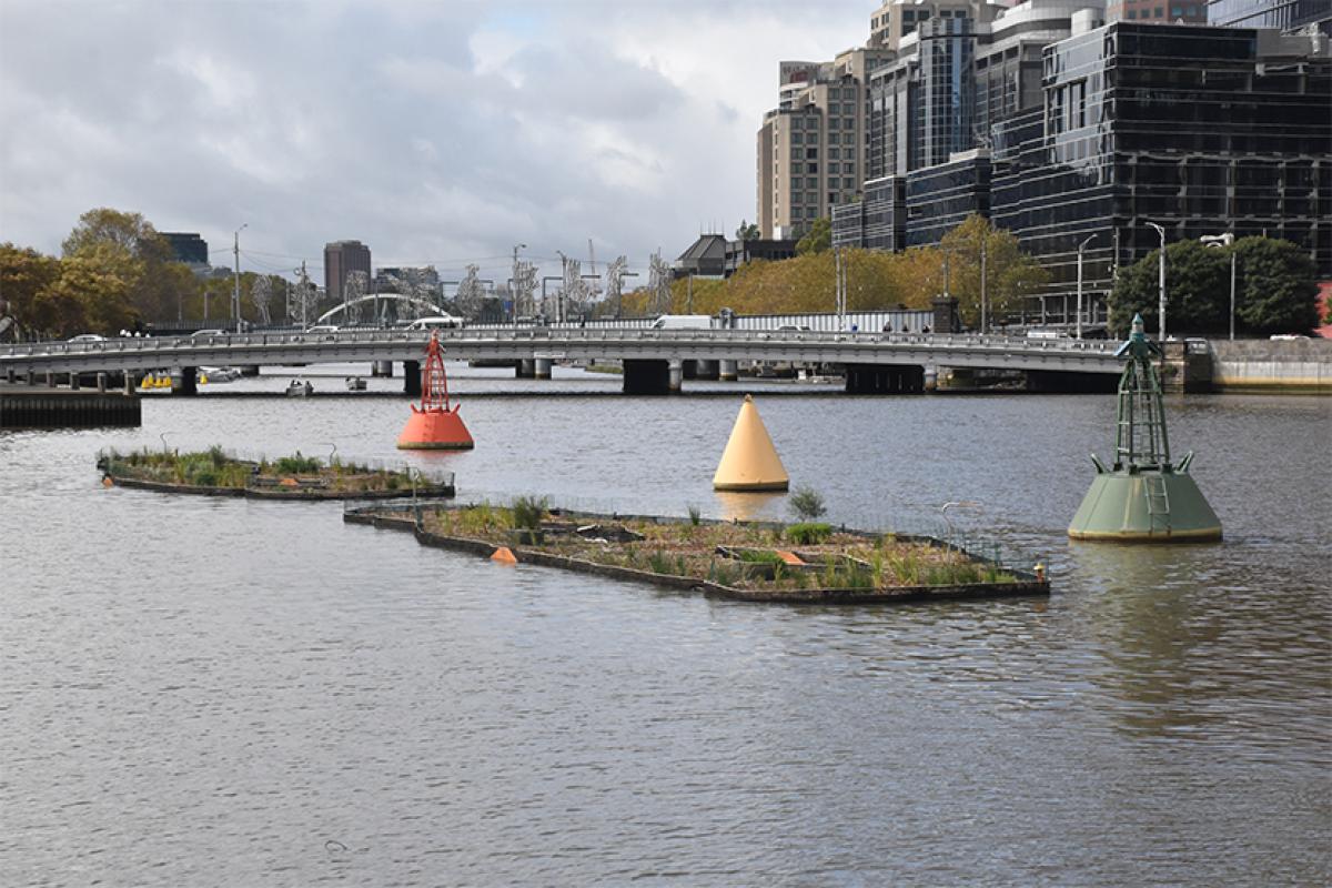 Bring on spring in Southbank