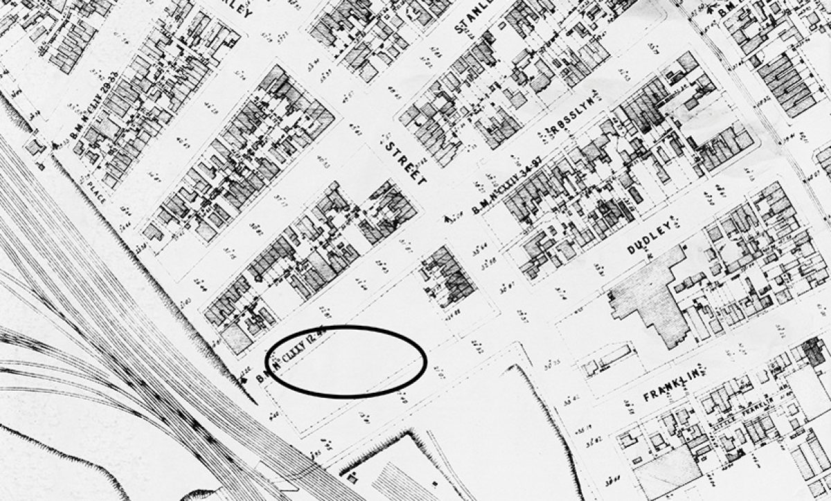 The House of Stoush