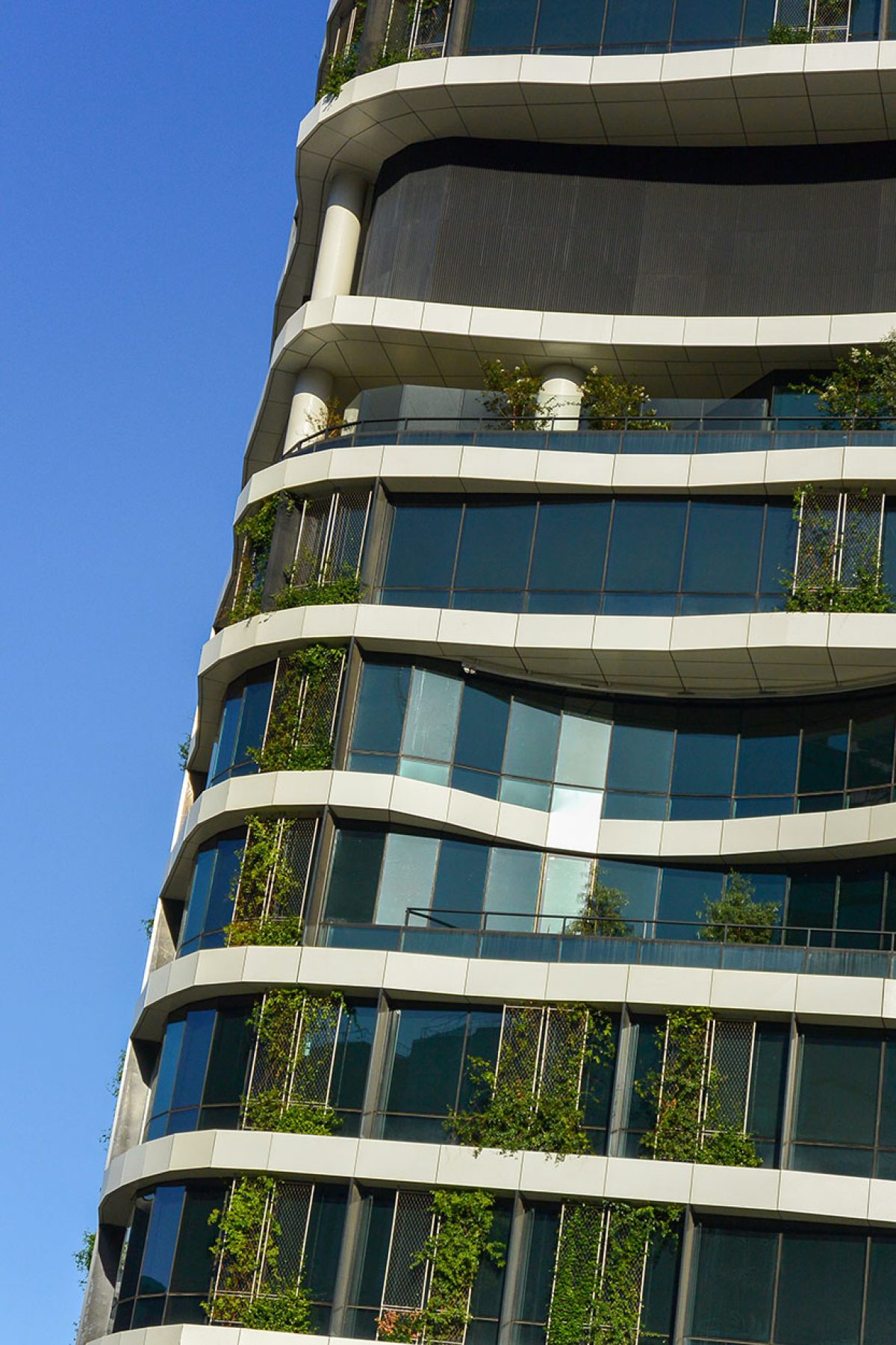 Council endorses retrofit plan to tackle city’s emissions