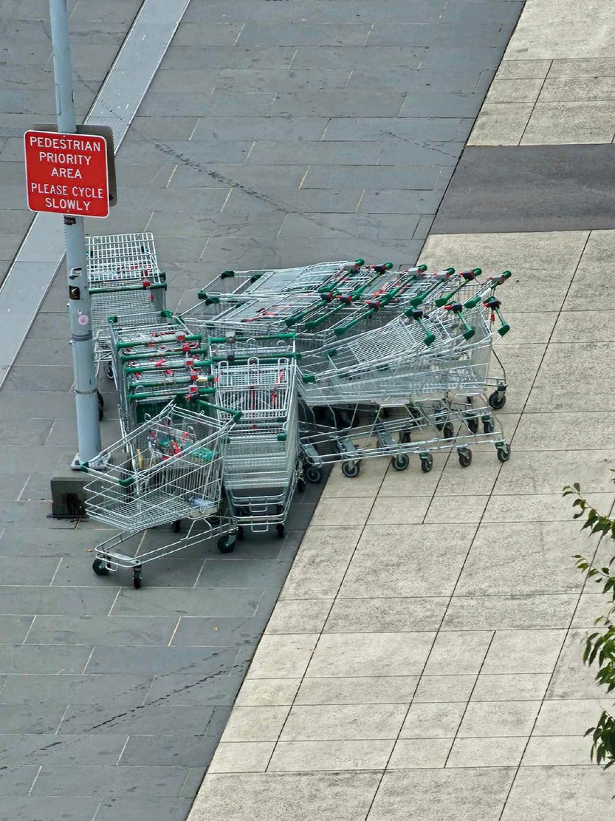 What’s with all the shopping trolleys?