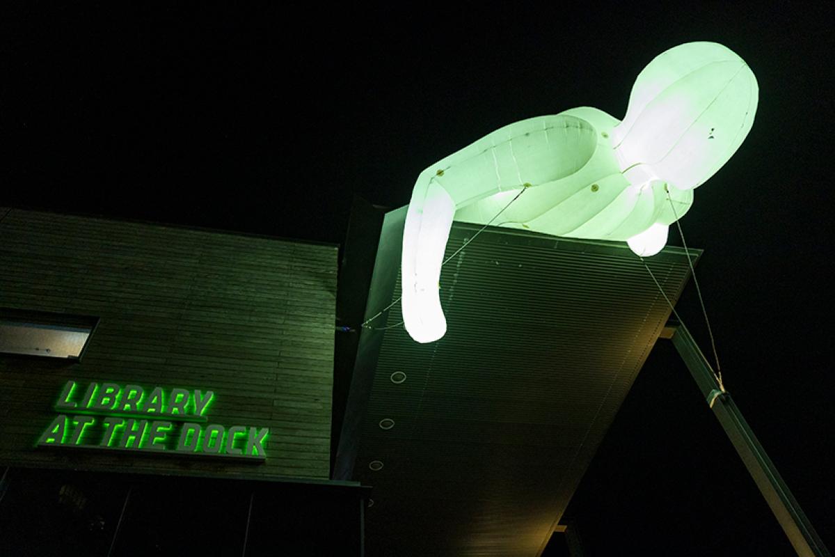 Record-breaking Firelight Festival lights up Docklands