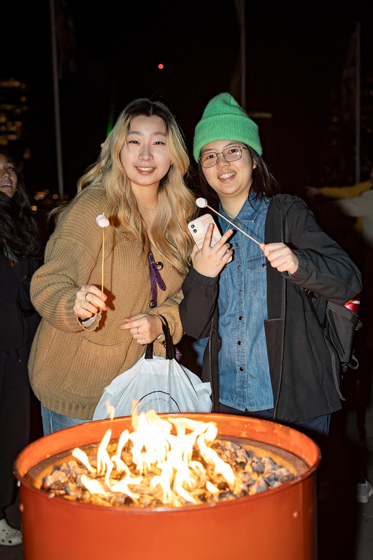 Record-breaking Firelight Festival lights up Docklands