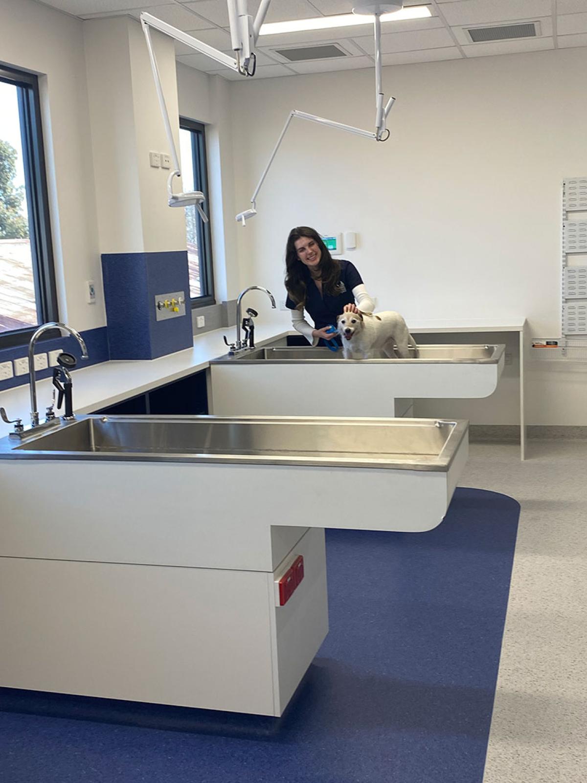 Lort Smith opens new facilities with “fear-free” waiting room pods
