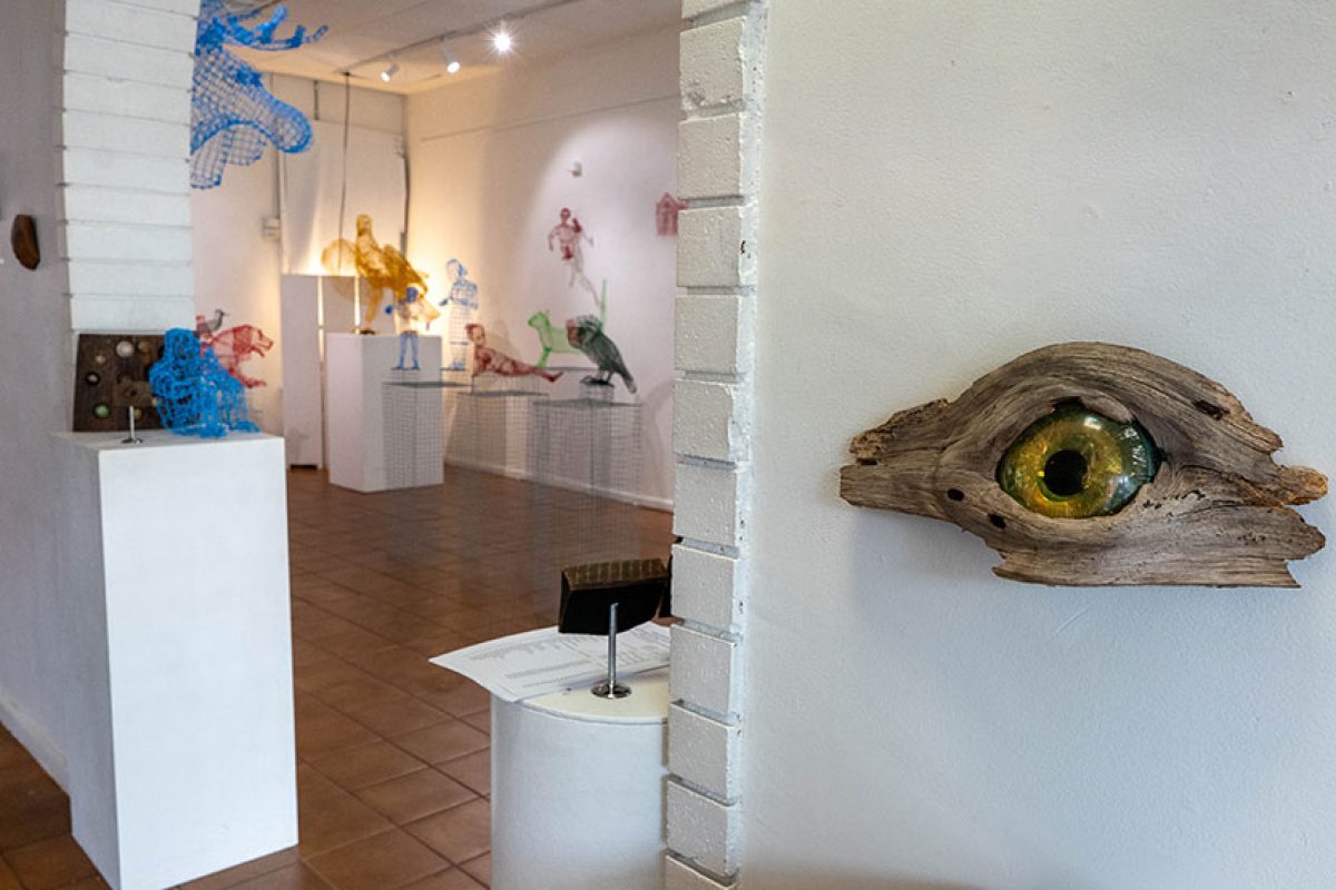 Exhibitions shed light on local artists