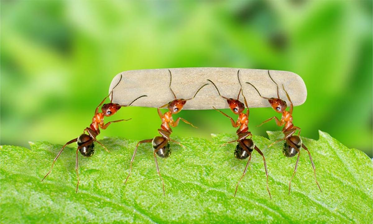 Have we forgotten our role in cooperating with life?