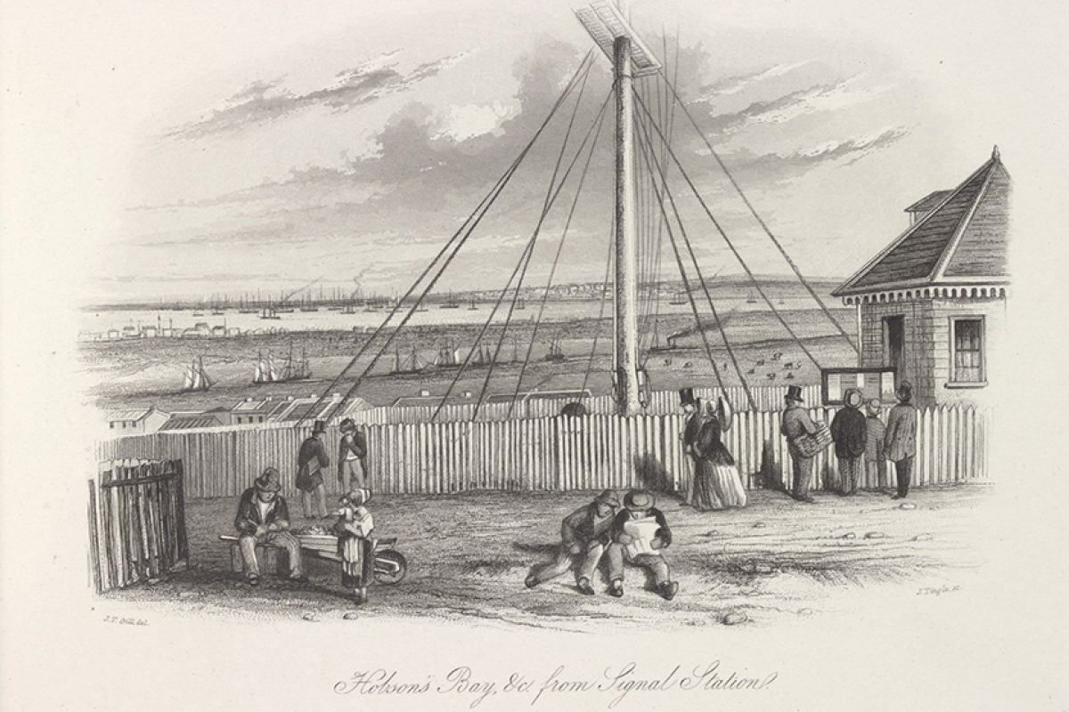 History of Flagstaff Gardens told