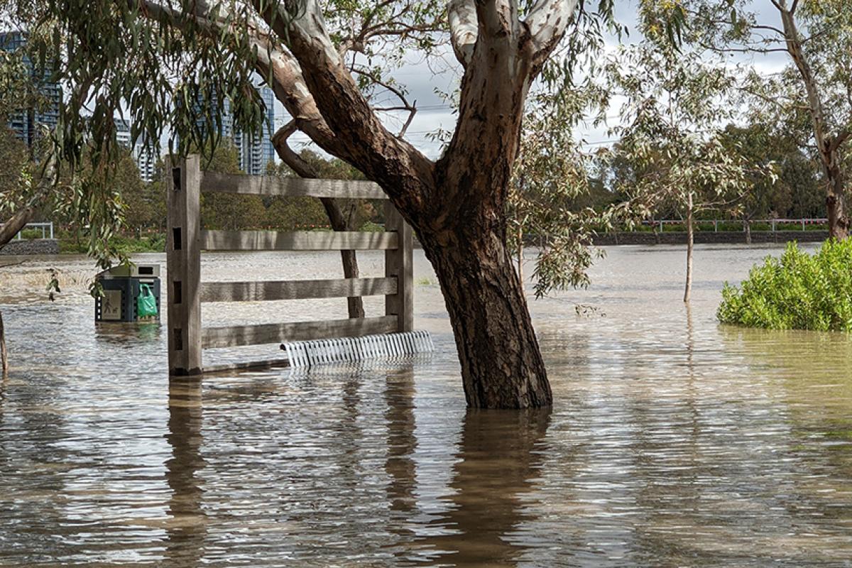 Federal funding boosts Maribyrnong flood-mitigation push