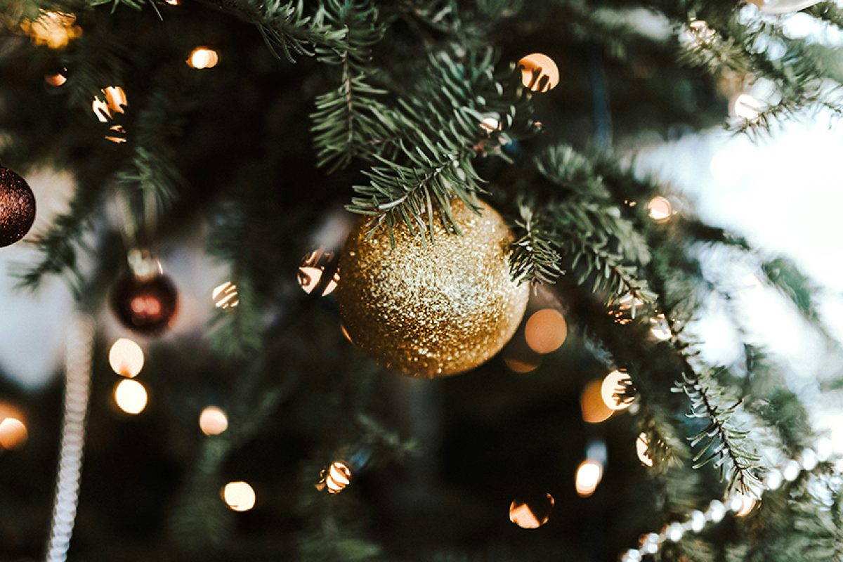 Real versus fake Christmas tree. Which one is better for the environment?