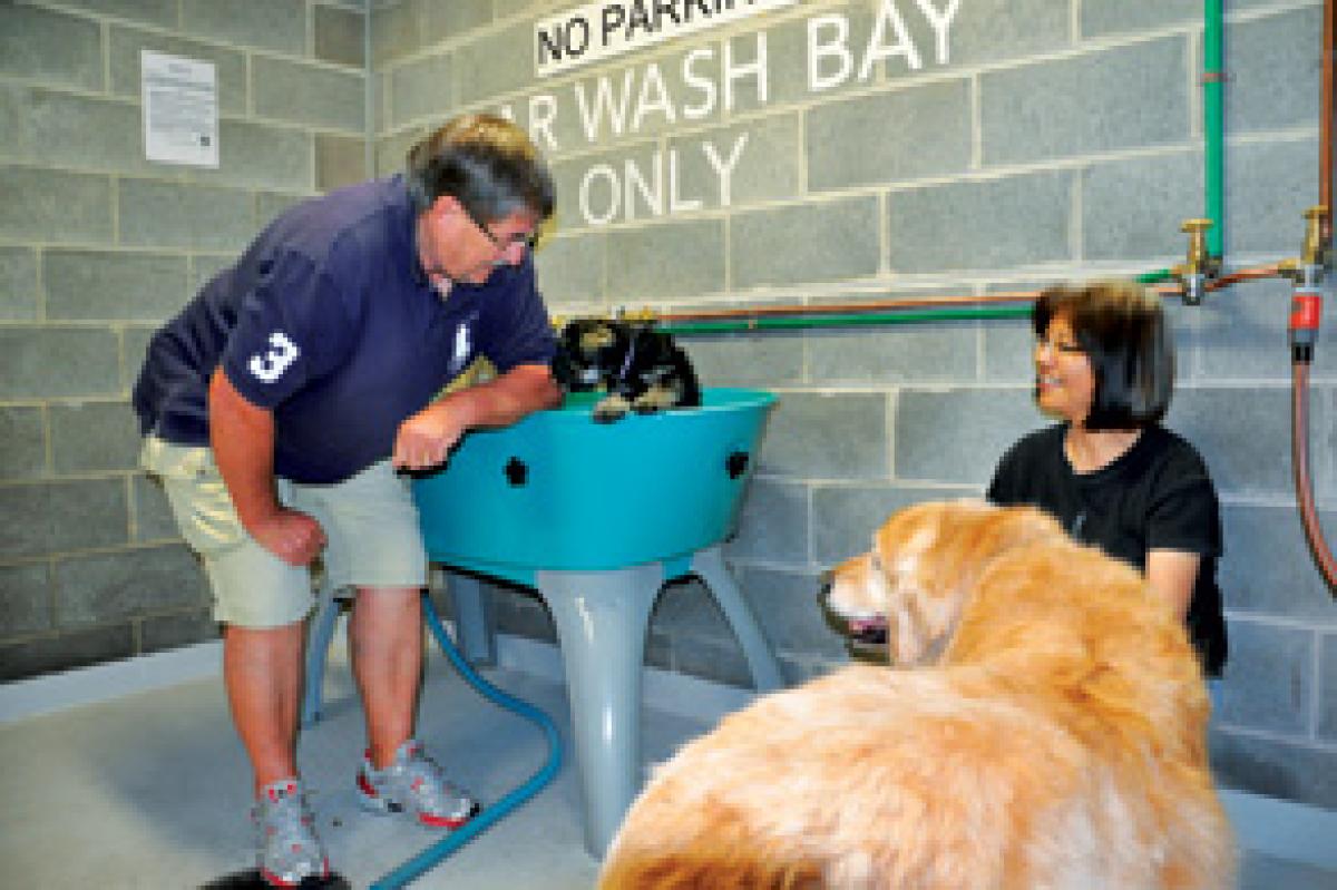 The deserving dogs of Dock 5