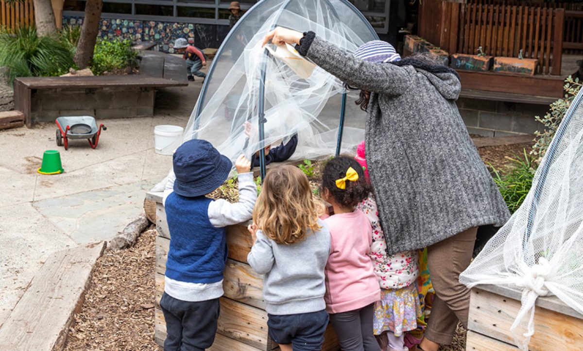 Growing the next generation of Docklanders