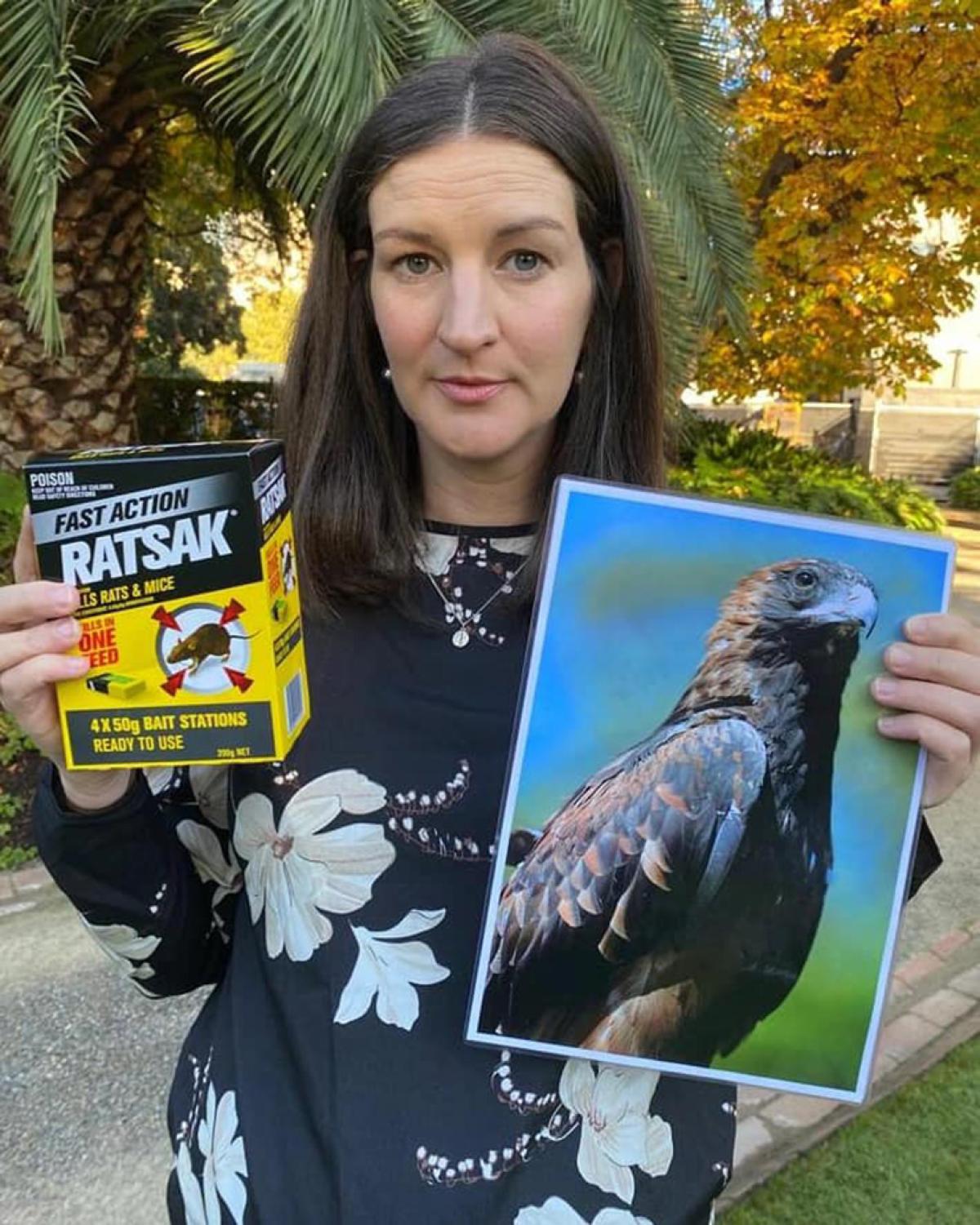Working to keep our wildlife safe, including Melbourne’s famous peregrine falcons!