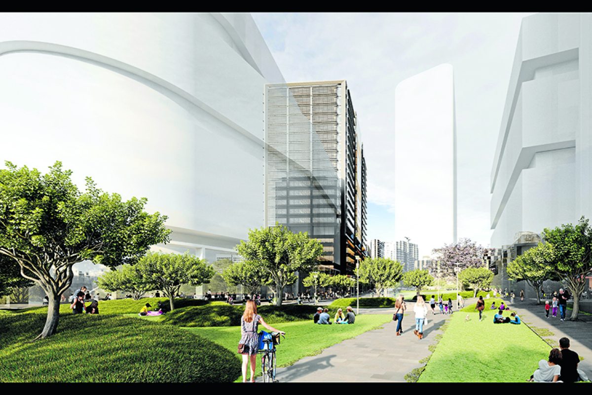 City Harbour masterplan could be approved within a year
