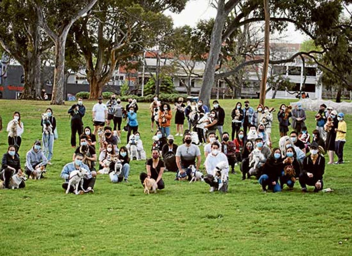 New off-leash opportunities for local dogs