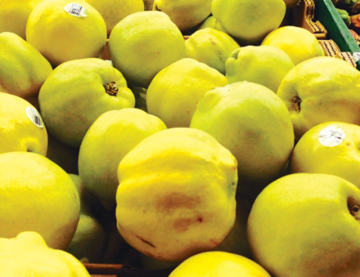 It’s the season for quinces